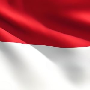 Al-Shumoukh Travels- Indonesia Visa