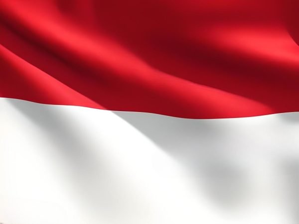 Al-Shumoukh Travels- Indonesia Visa