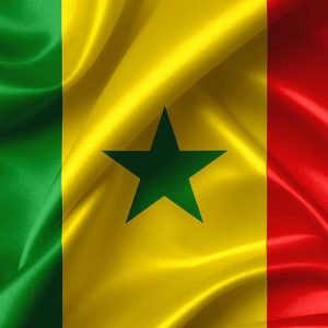 Al-Shumoukh Travels- Senegal Visa