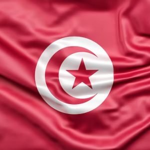 Al-Shumoukh Travels- Tunisia Visa